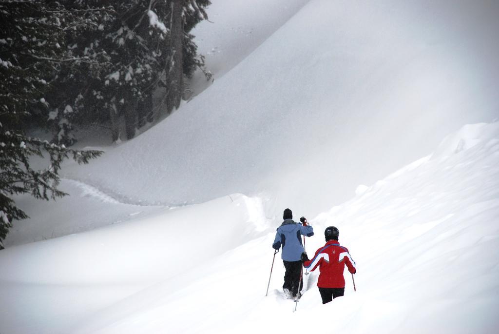 Schweitzer Mountain Resort White Pine Lodge Sandpoint Kültér fotó